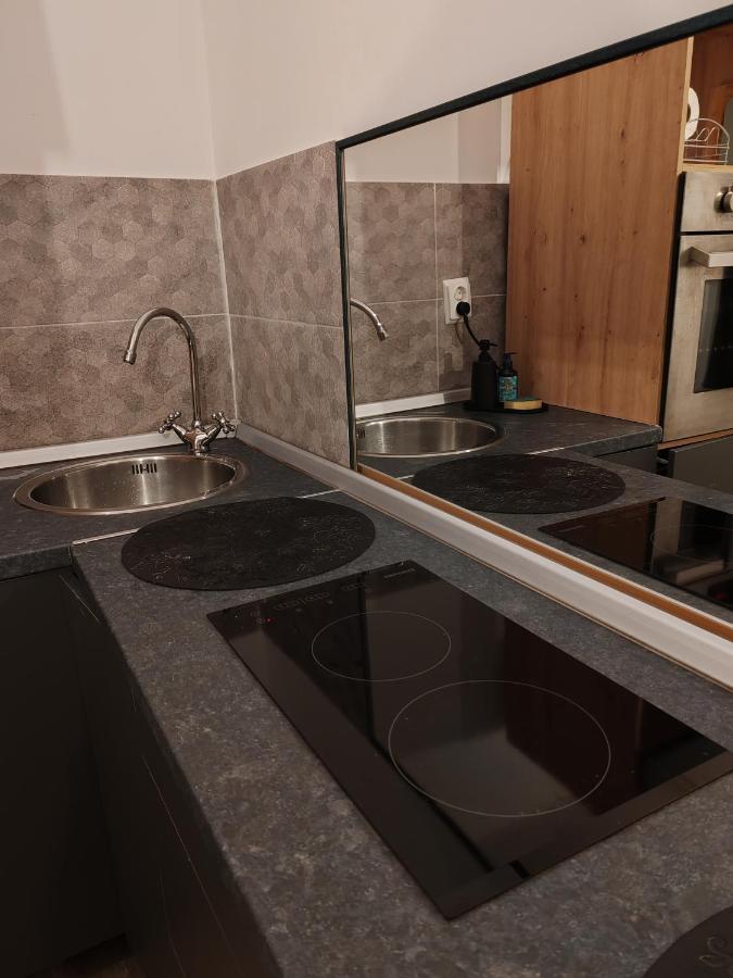Studio Grigio Lägenhet Sibiu Exteriör bild